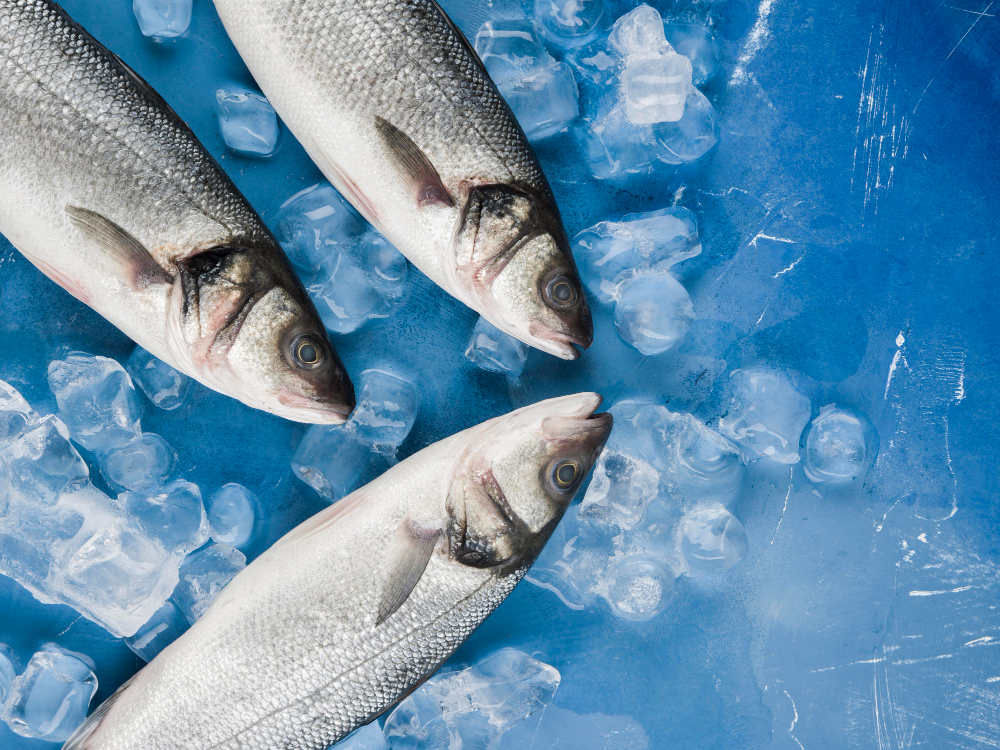 sea food