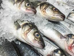 frozen fish